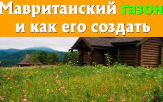 Яркие краски цветущего газона весной и летом