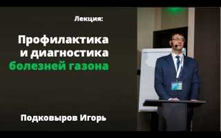 Болезни газона: симптомы, лечение, профилактика и советы по уходу