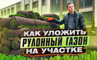 Технология укладки рулонного газона своими руками для красивого сада