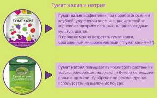 Применение Гумата натрия для удобрения сада и огорода