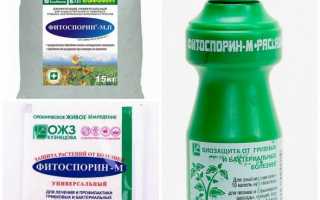 Фитоспорин М»: инструкция по применению, отзывы о препарате, советы по обработке растений и рекомендации по использованию