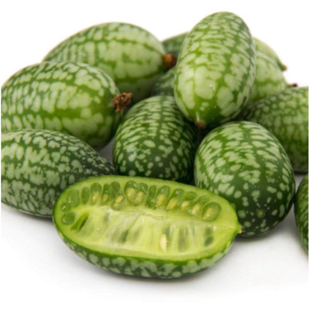 огурцы мелотрия с разрезом
