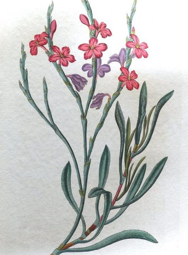 Зарисовка статицы