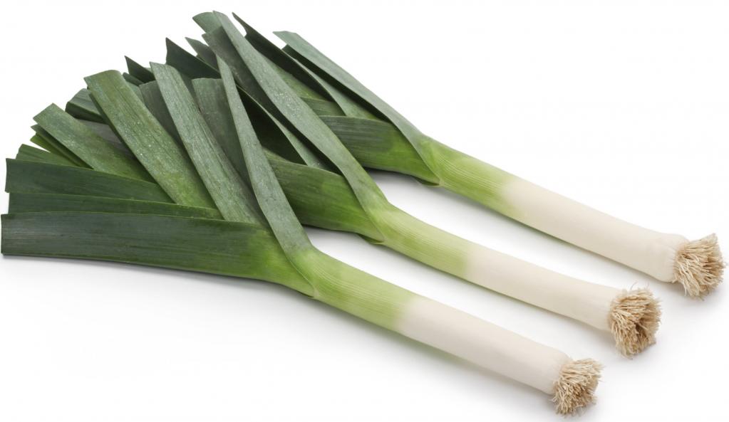 лук порей