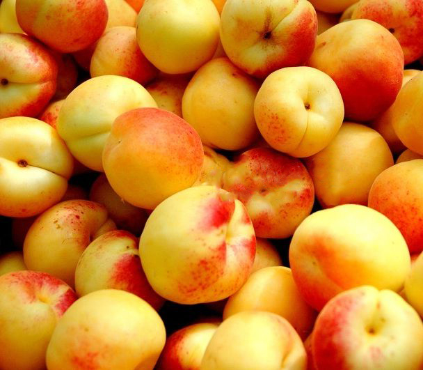 Абрикос Снегирек