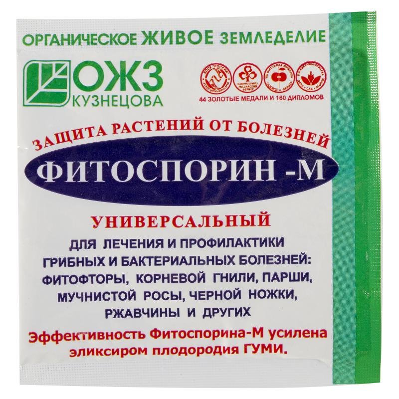 драцена опадают и желтеют листья что делать