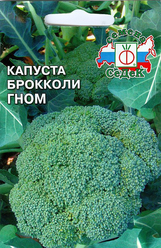 какие сорта капусты бывают фото и названия