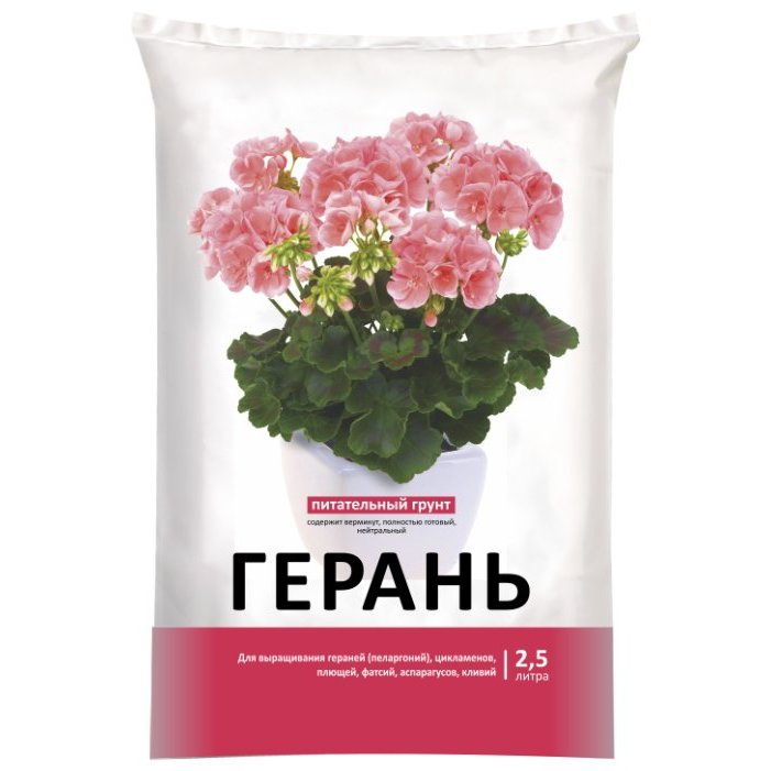 как пересаживать герань в домашних условиях
